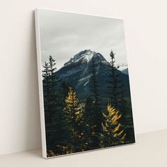 7090801475619 - Product Image