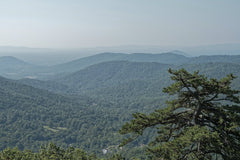 James Mirakian - Serene view of lush green mountains in Shenandoah National Park, Luray, VA.