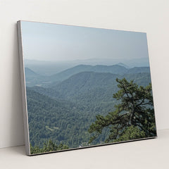 7090354520099 - Product Image