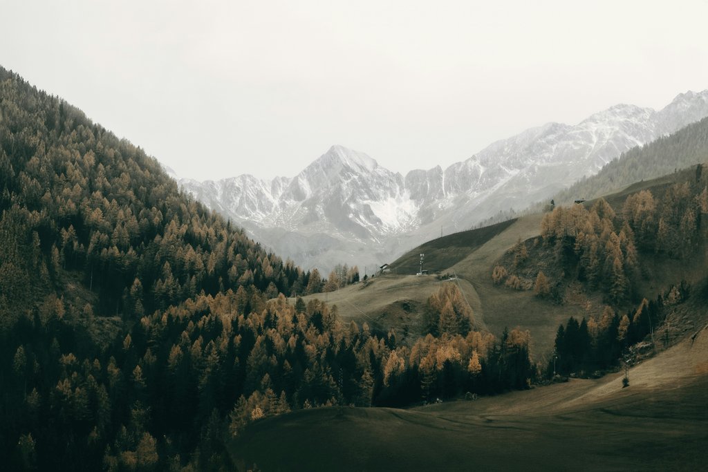 Eberhard Grossgasteiger - A view of a mountain range with trees in the foreground