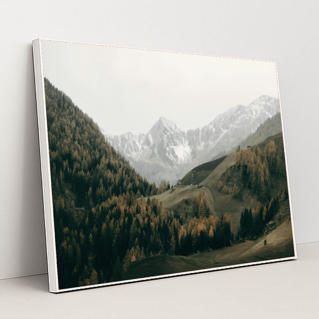 7077675106339 - Product Image