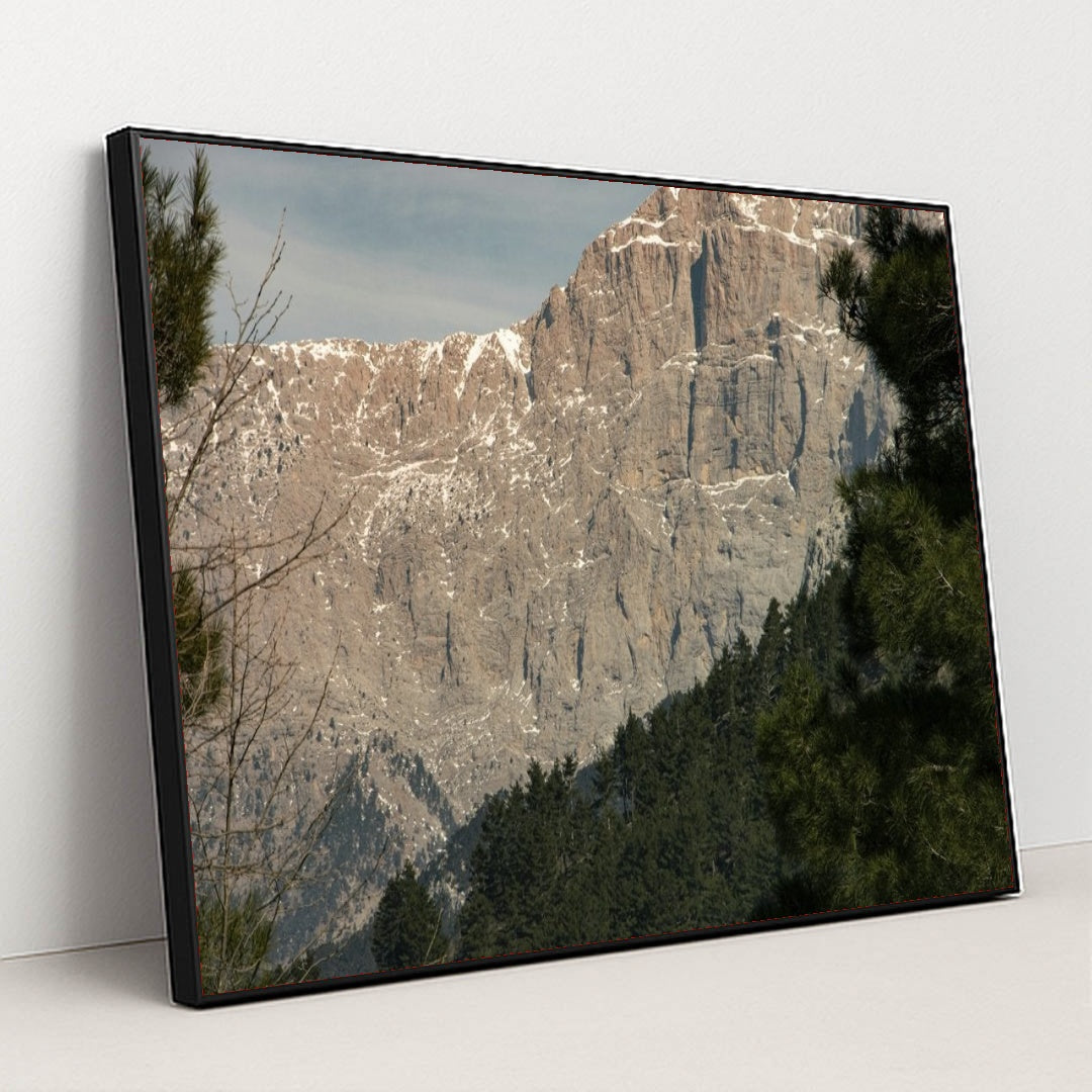 7090295898147 - Product Image