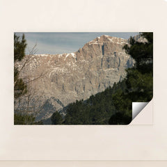 7090295898147 - Product Image