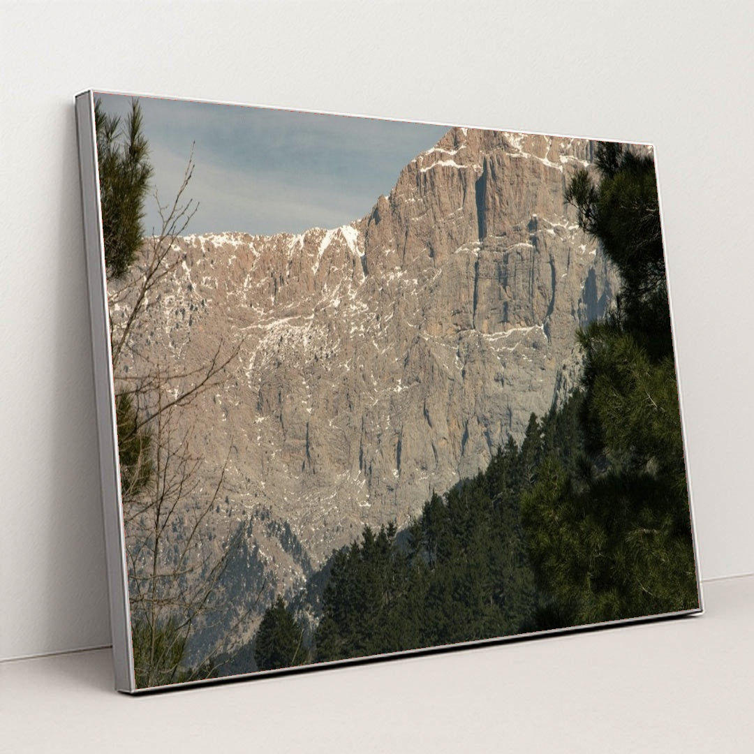 7090295898147 - Product Image