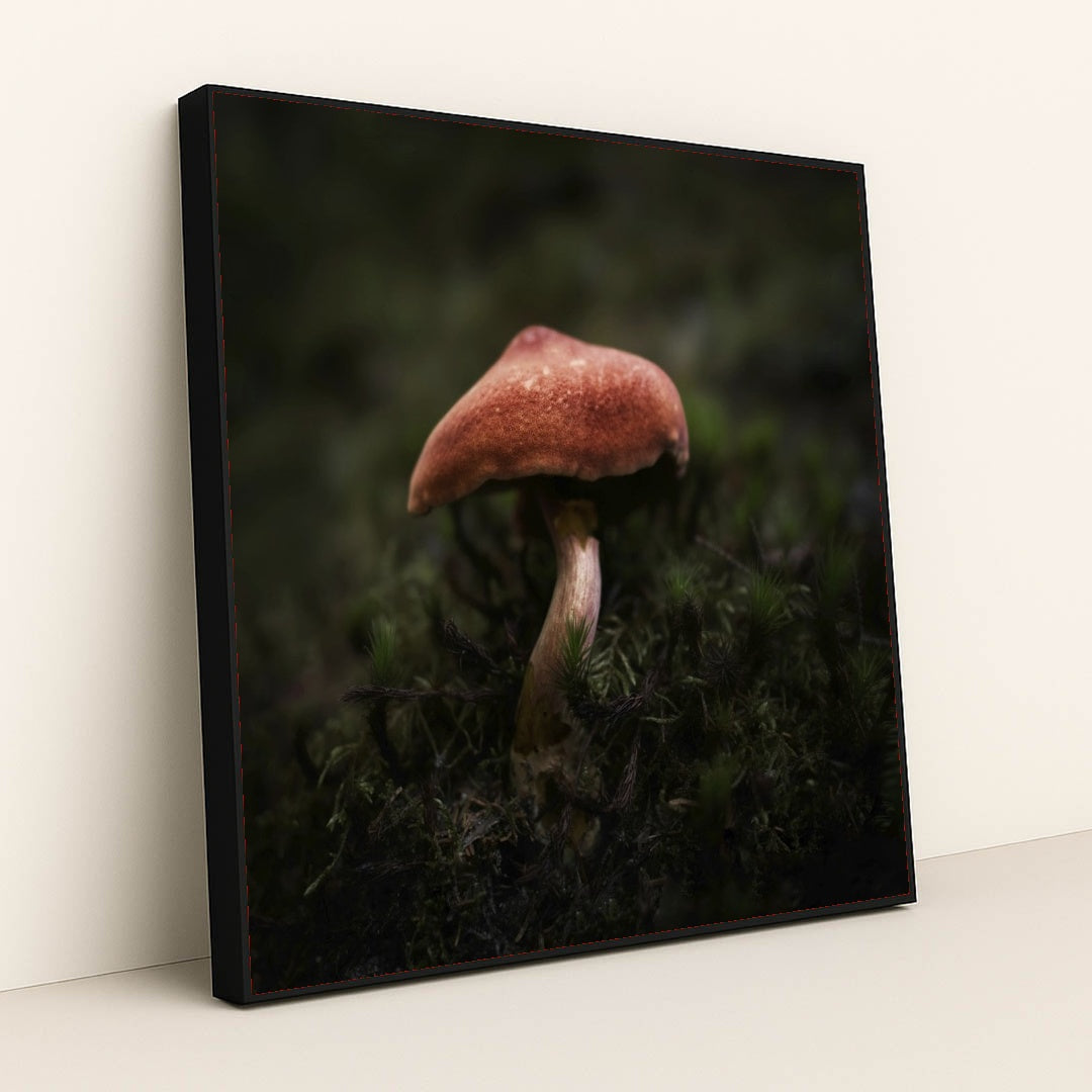 7090293407779 - Product Image