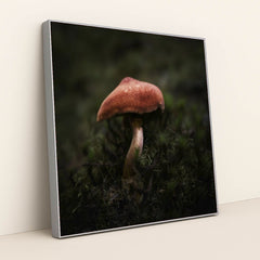 7090293407779 - Product Image