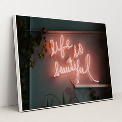 7077675991075 - Product Image