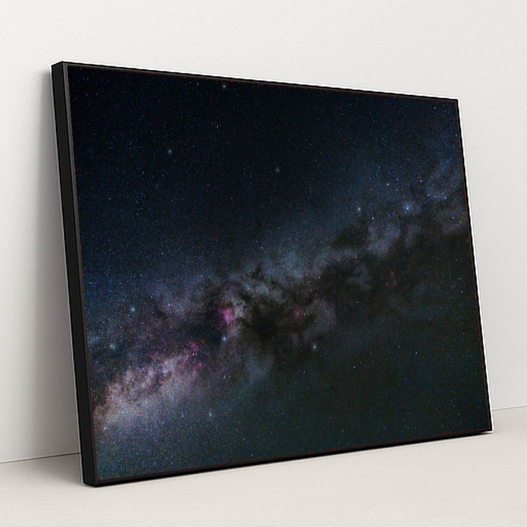 7077675499555 - Product Image