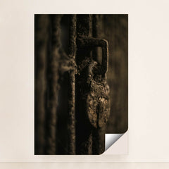 7090698387491 - Product Image