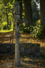 Gundula Vogel - A rustic cast iron water pump set in a lush, sunlit garden with autumn foliage.