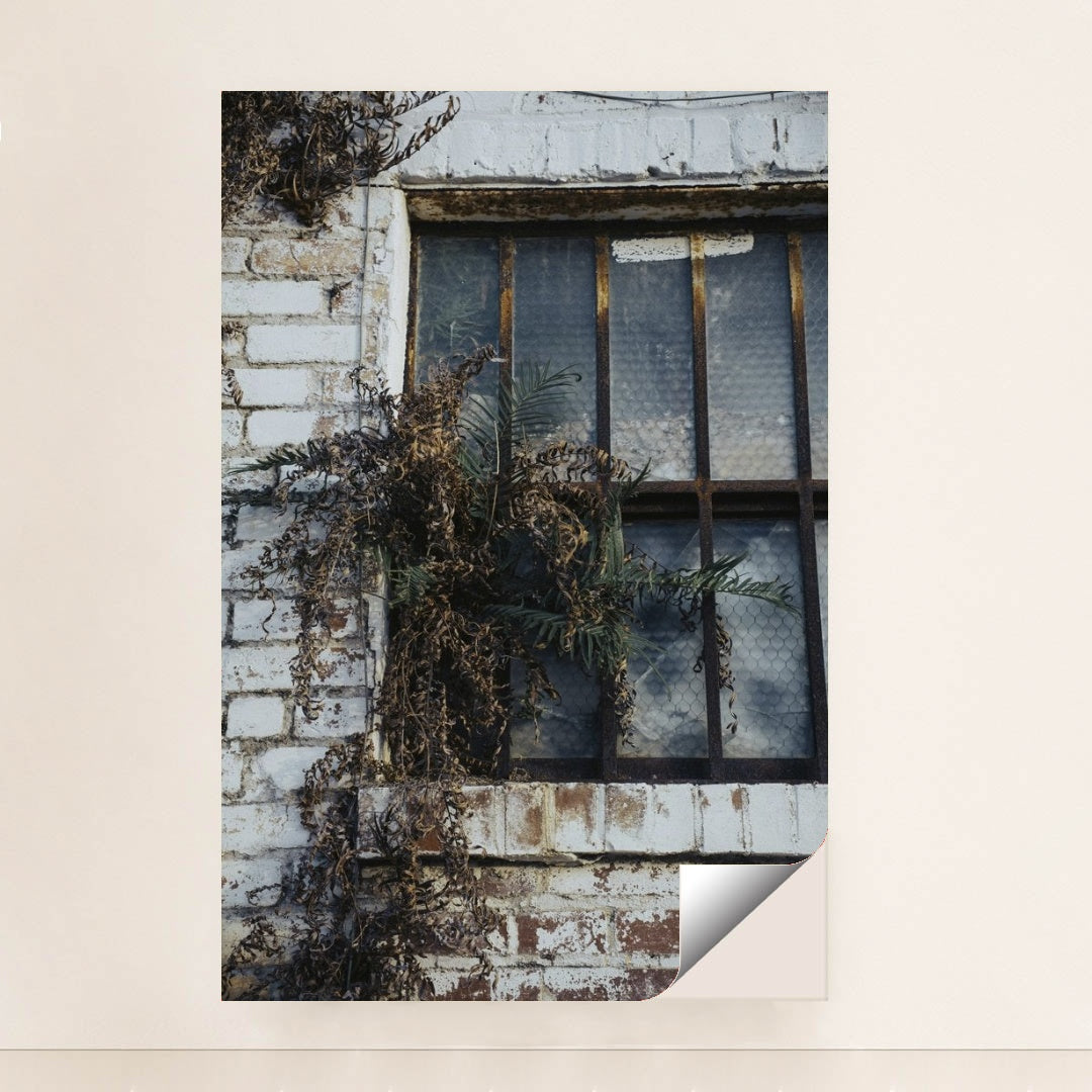 7090694750243 - Product Image