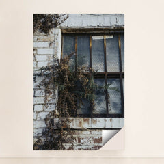 7090694750243 - Product Image