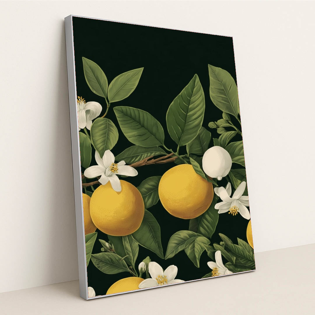 6221 - Product Image