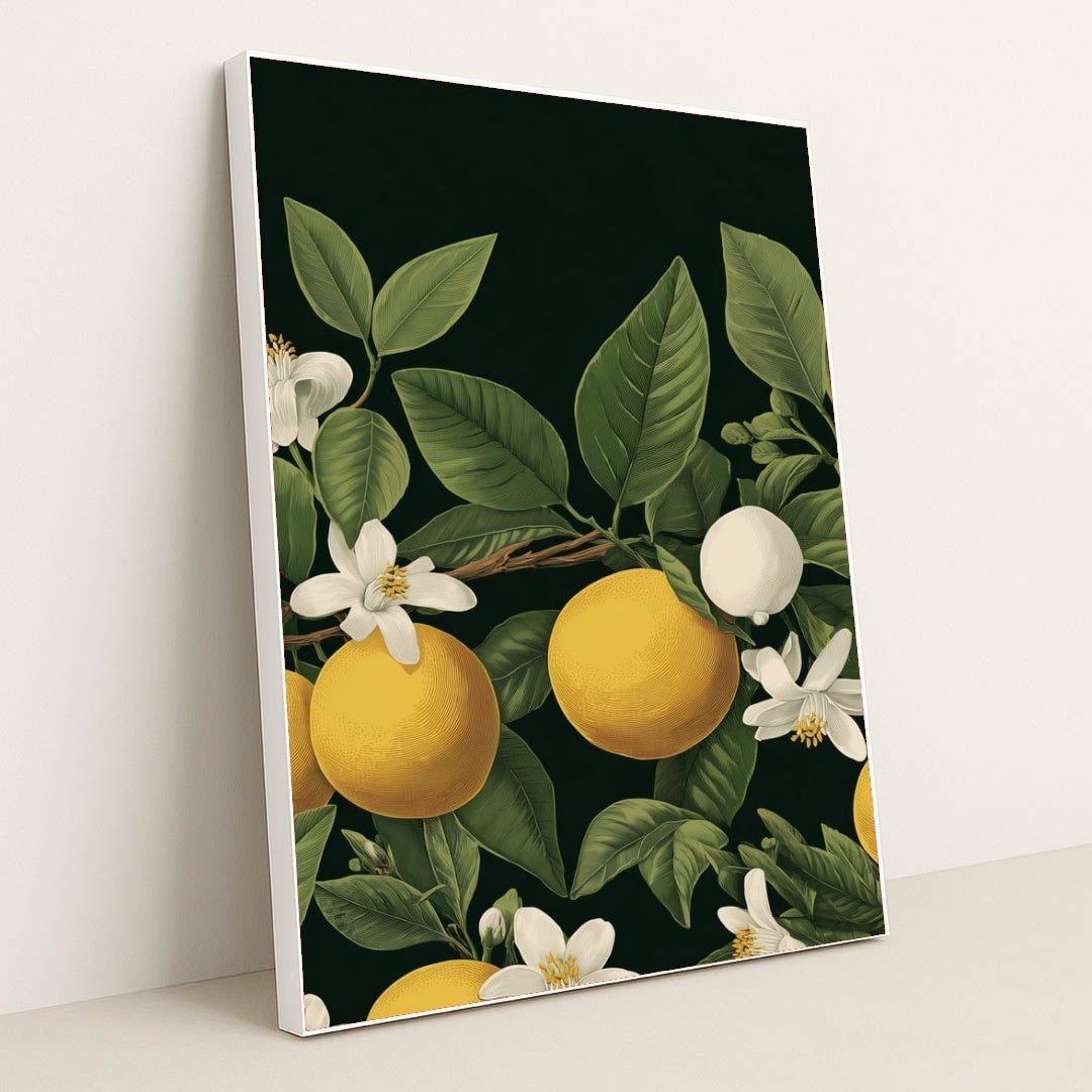 6221 - Product Image