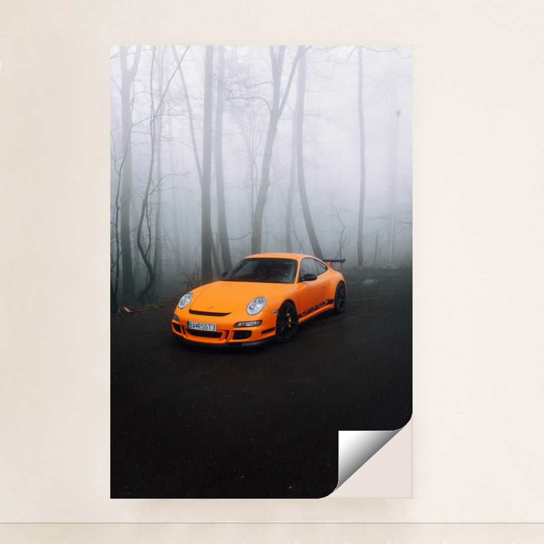 This photo shows an orange Porsche sports car parked on a misty forest road, unframed.