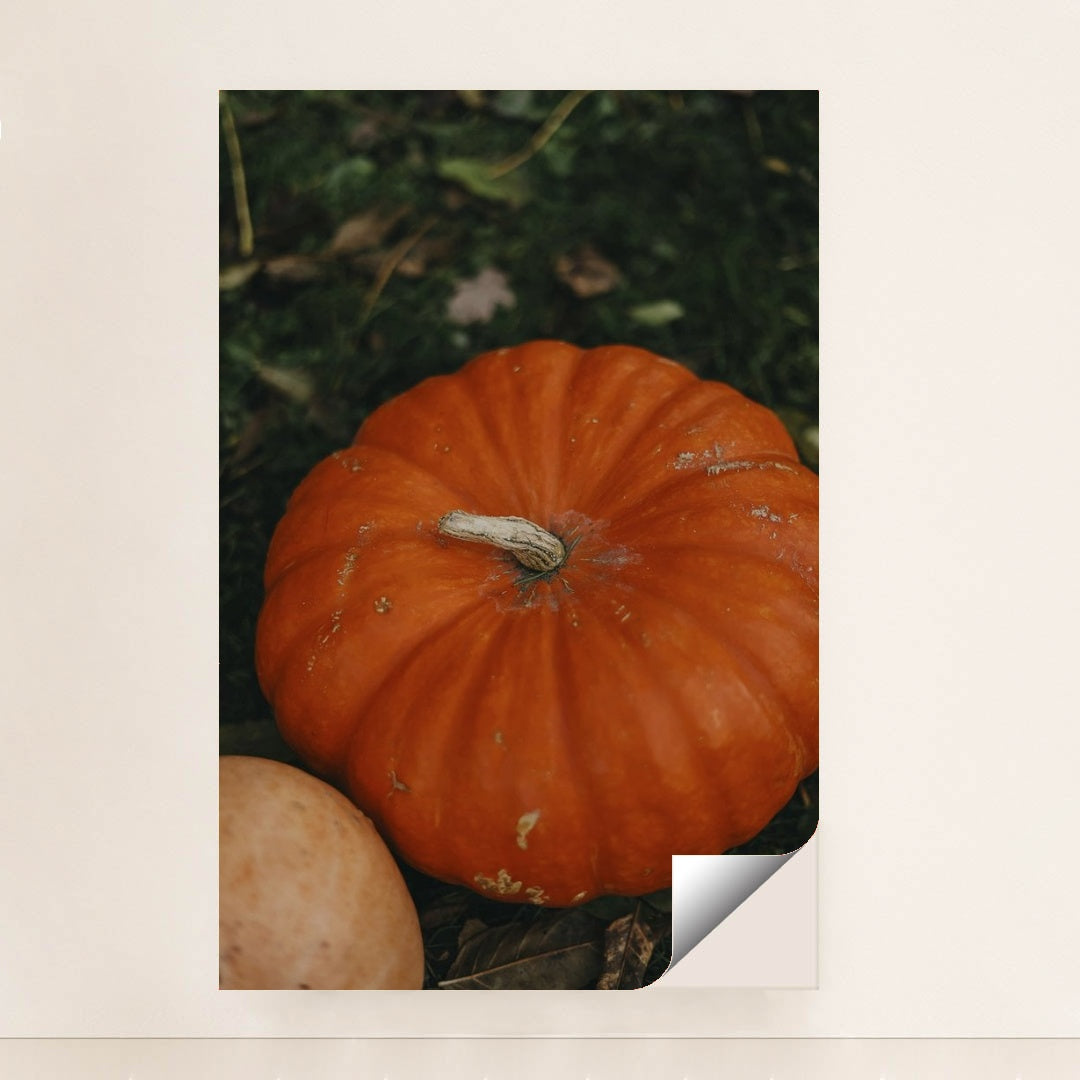 7090329714723 - Product Image