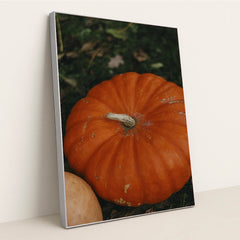 7090329714723 - Product Image