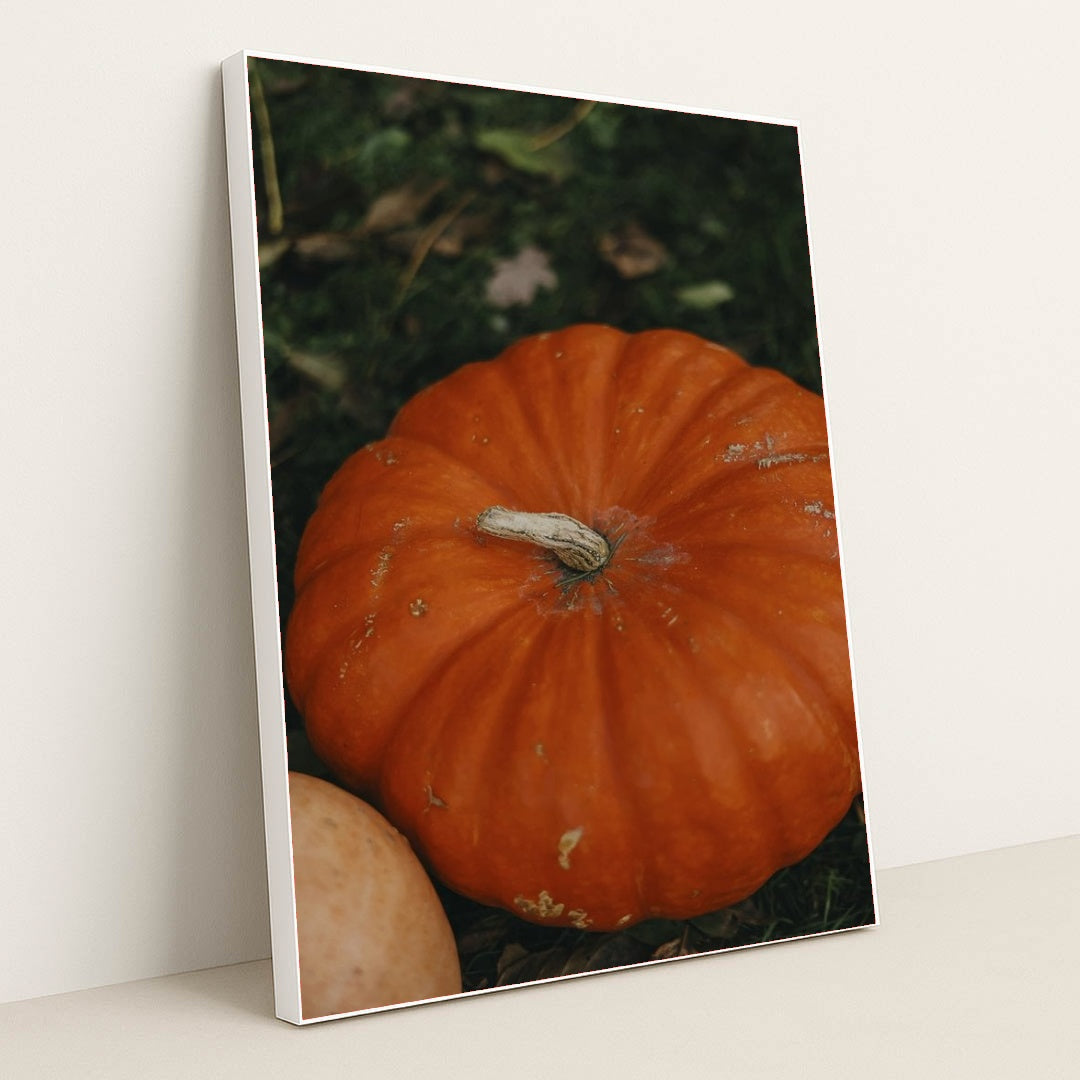 7090329714723 - Product Image