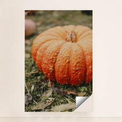 7090344853539 - Product Image