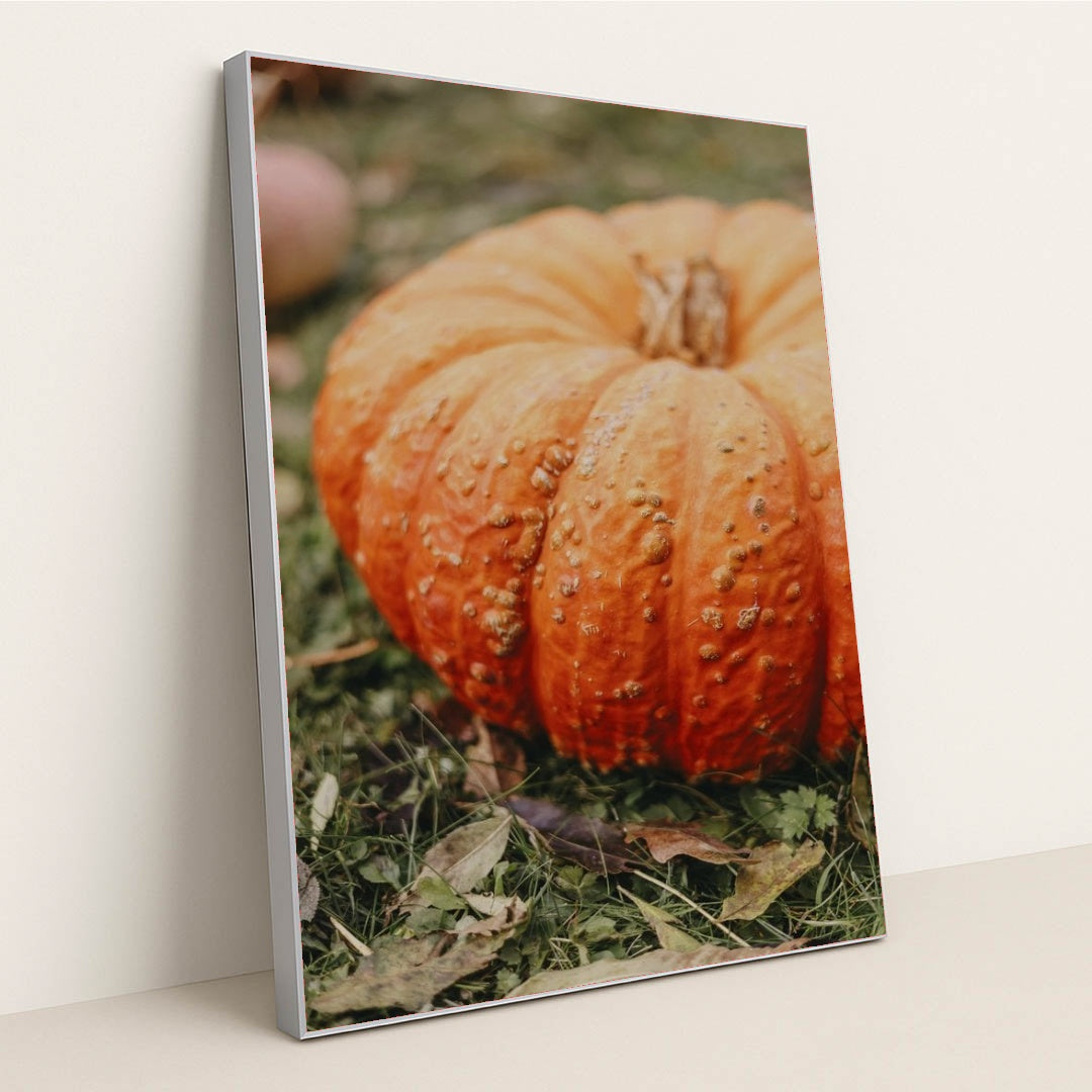 7090344853539 - Product Image