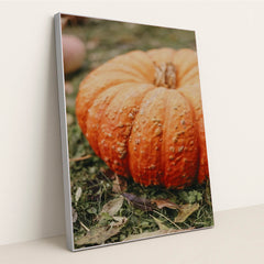 7090344853539 - Product Image