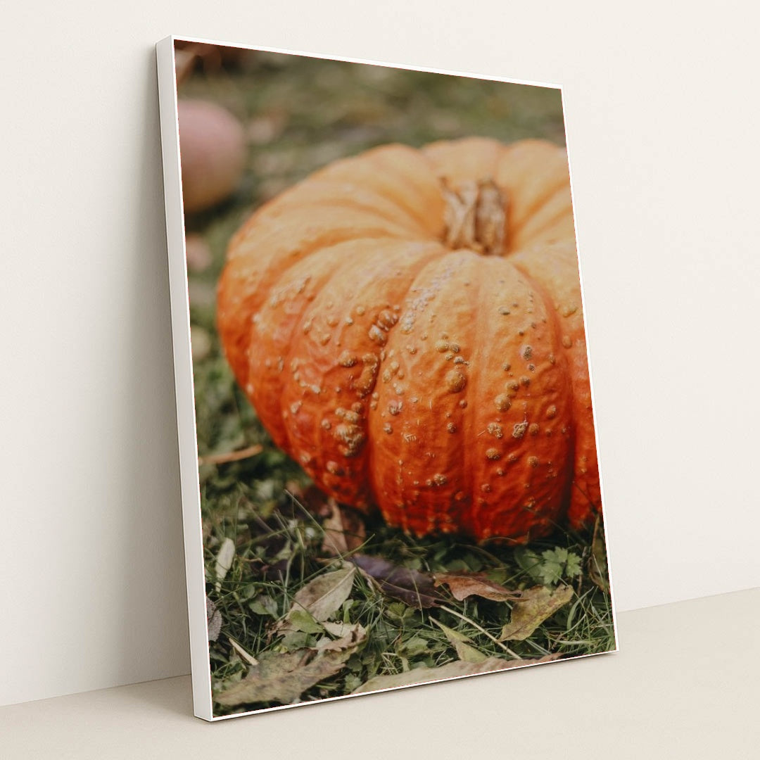 7090344853539 - Product Image