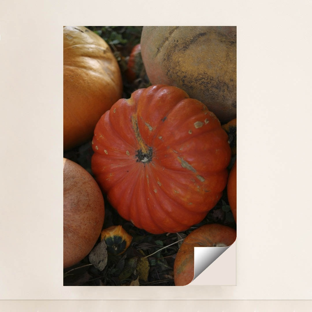 7090345803811 - Product Image