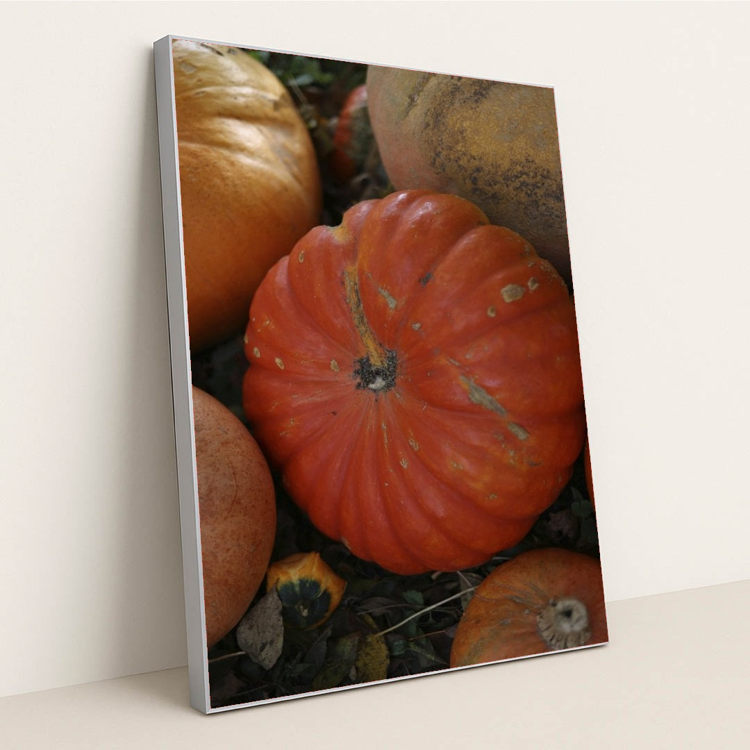 7090345803811 - Product Image