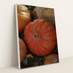 7090345803811 - Product Image