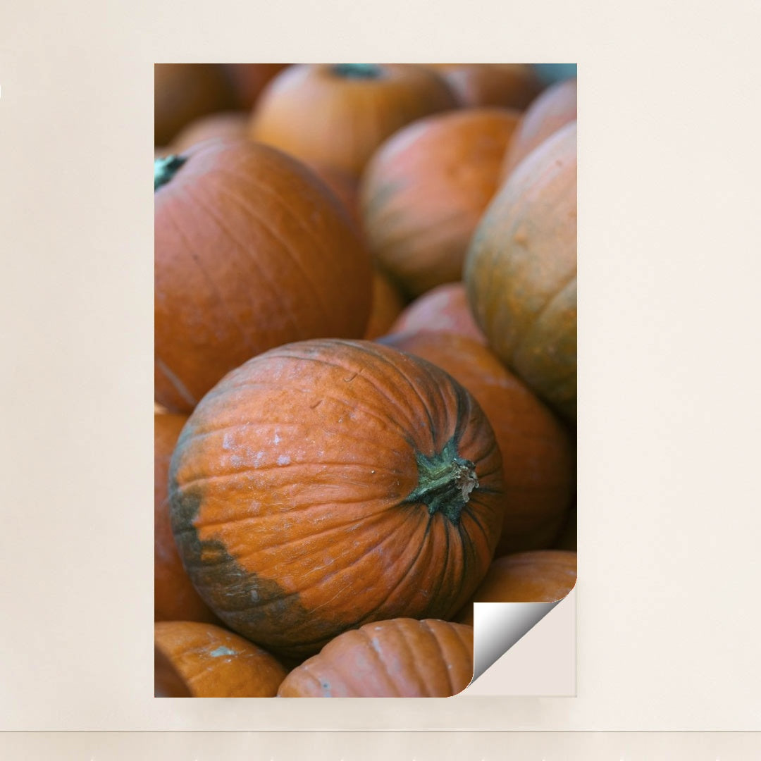 7090328666147 - Product Image