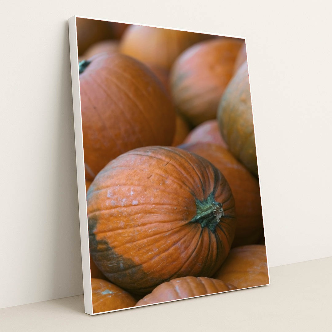 7090328666147 - Product Image