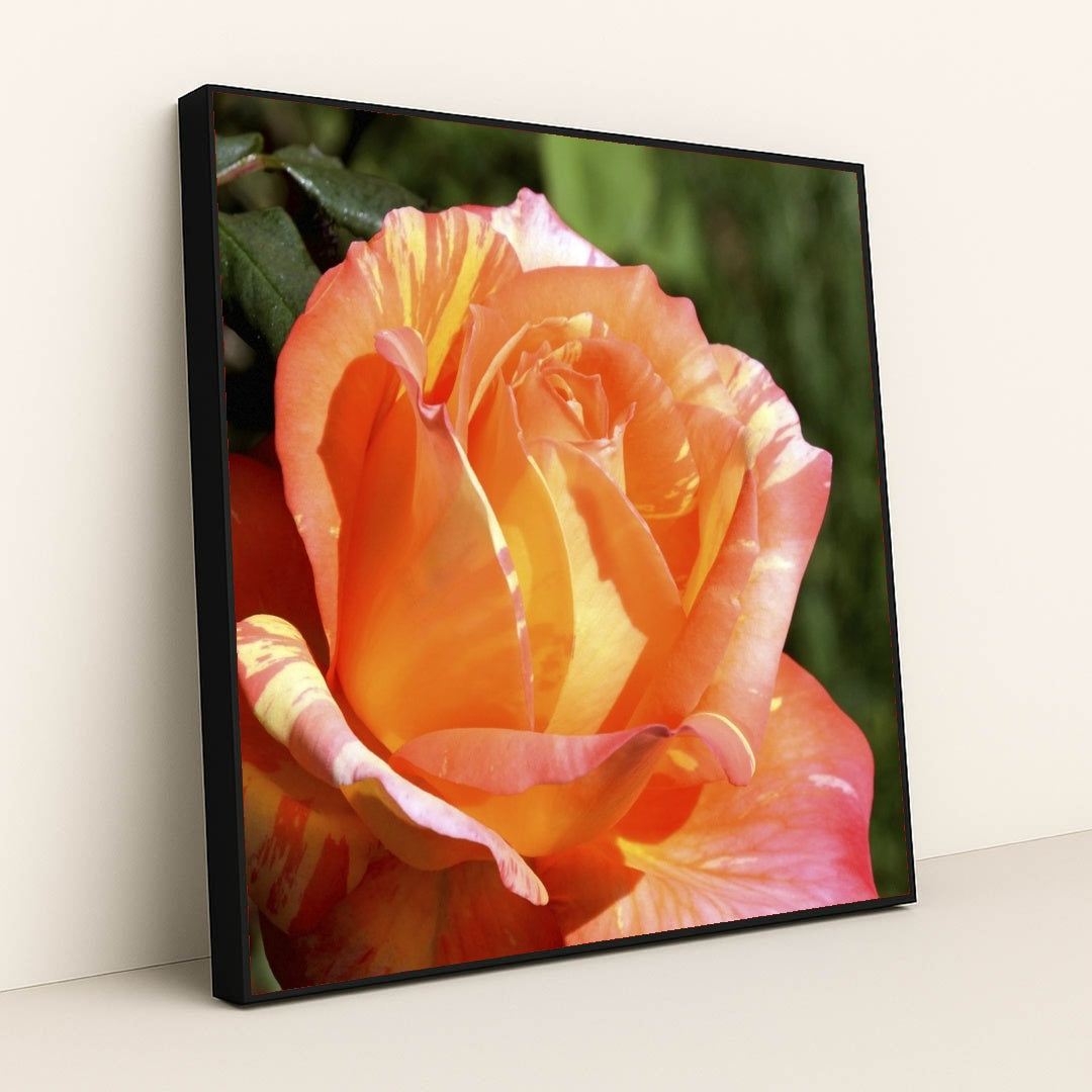 7090295275555 - Product Image