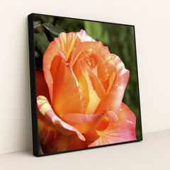 7090295275555 - Product Image