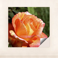 7090295275555 - Product Image