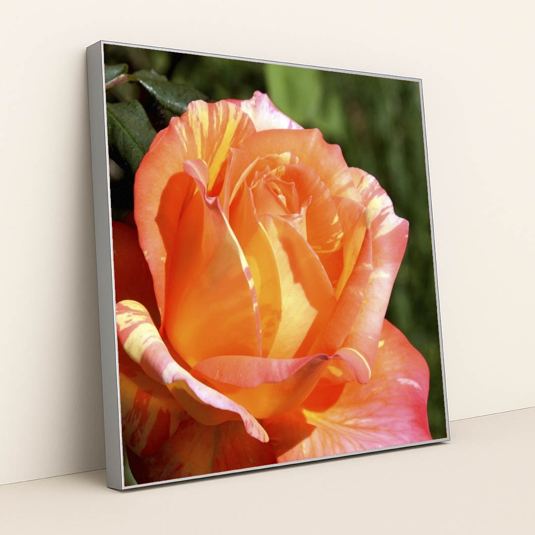 7090295275555 - Product Image