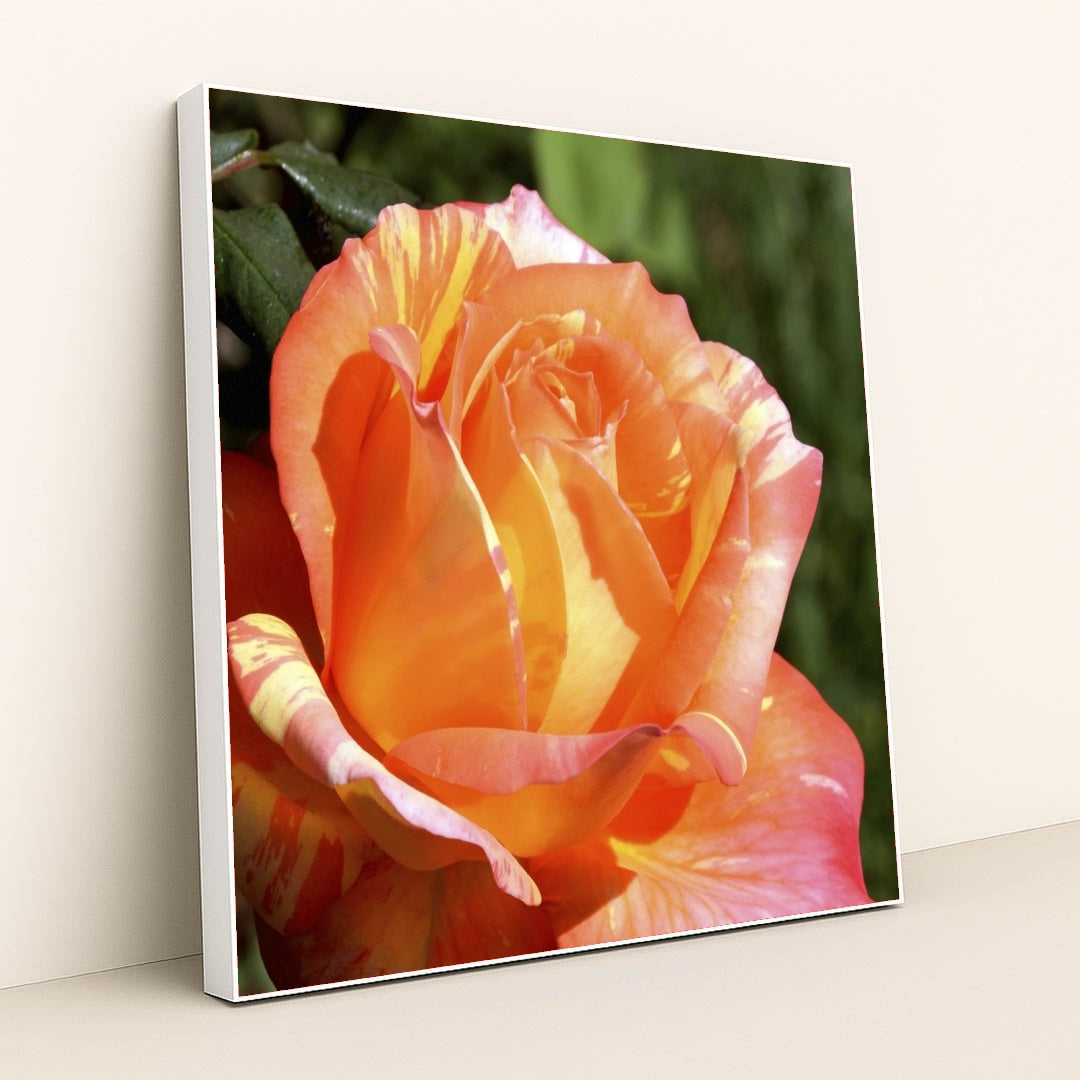 7090295275555 - Product Image