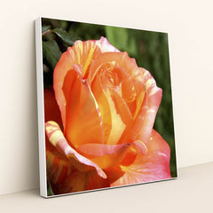 7090295275555 - Product Image