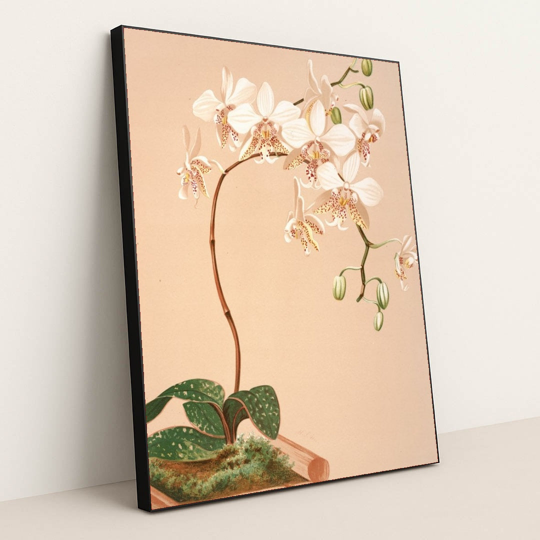 7074626797603 - Product Image