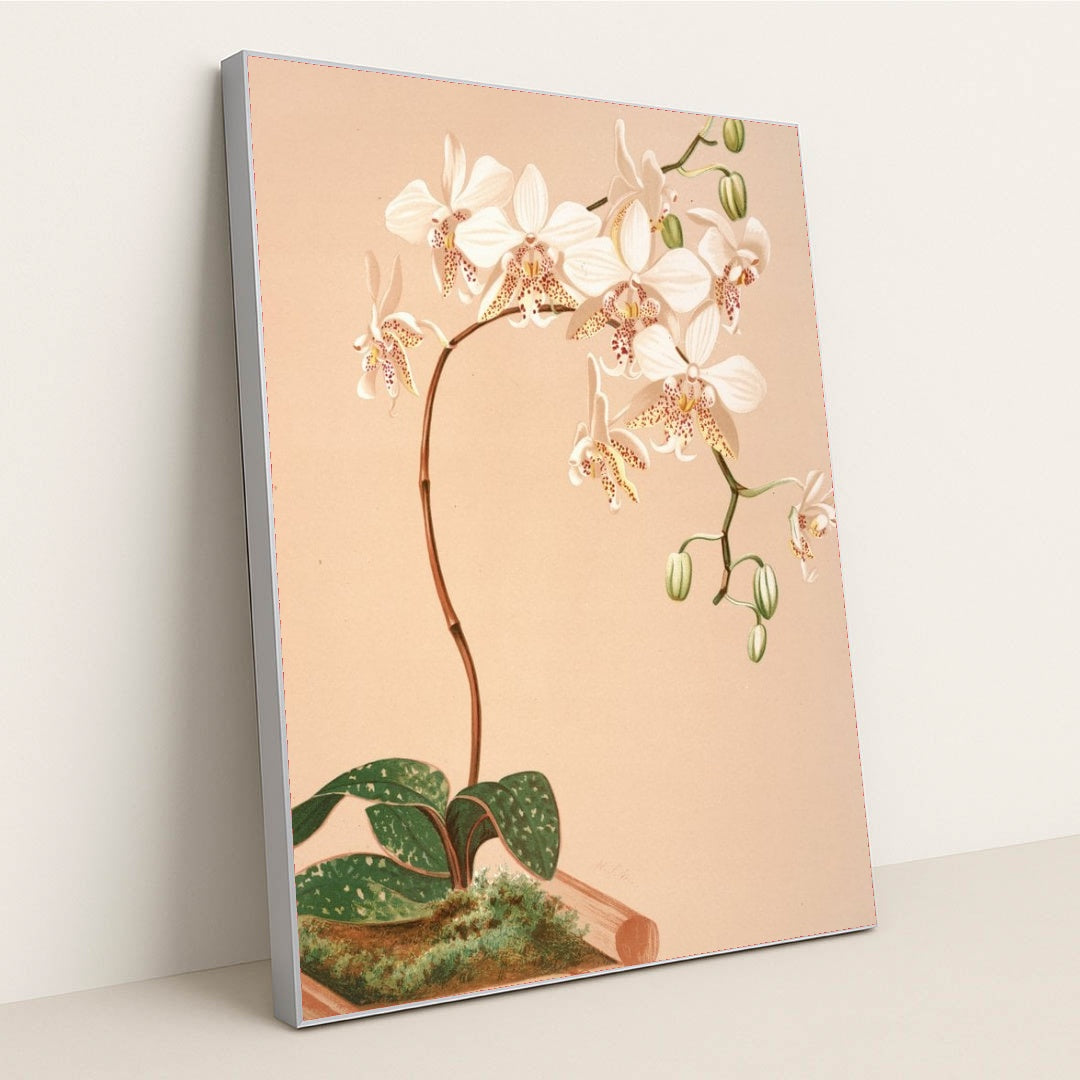 7074626797603 - Product Image