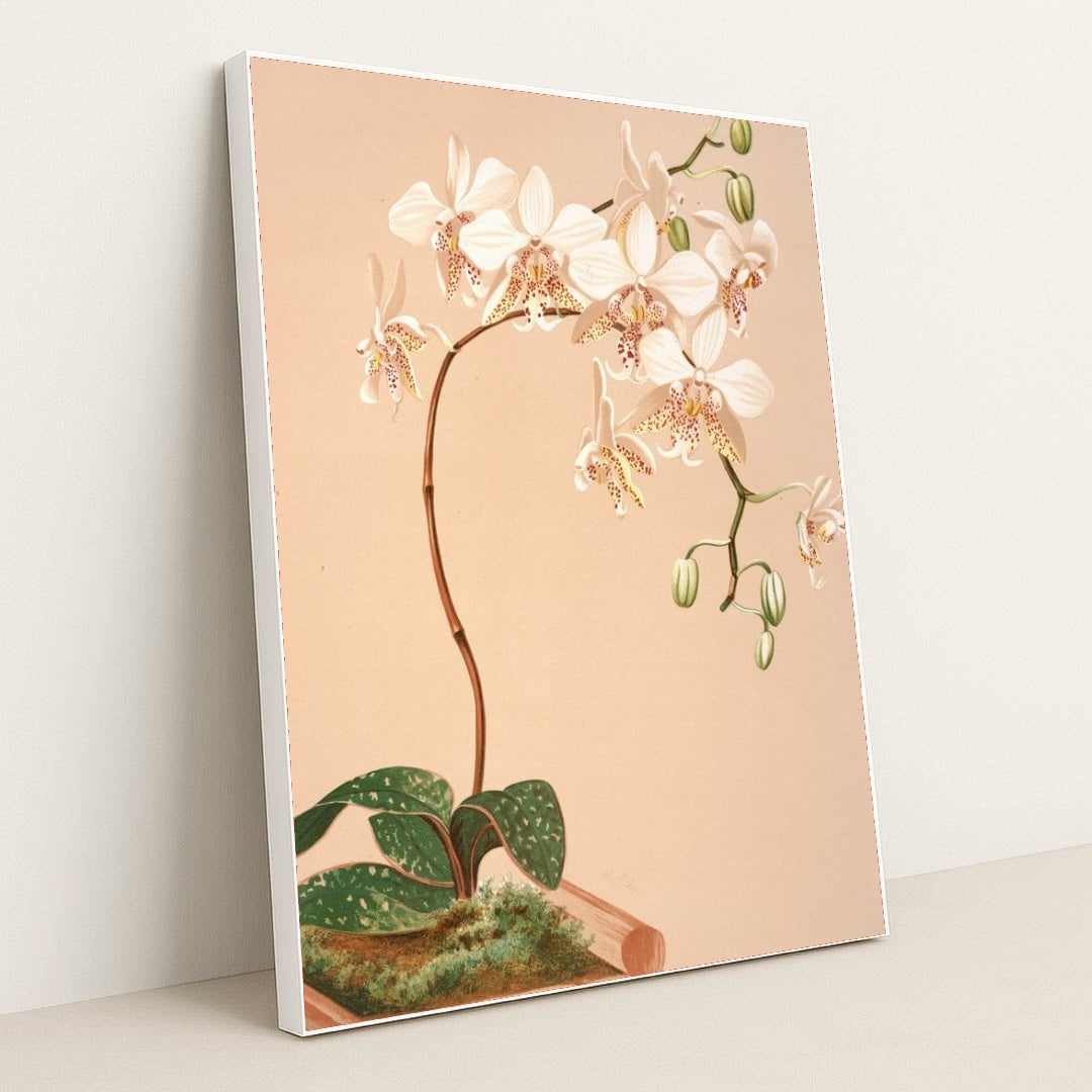 7074626797603 - Product Image