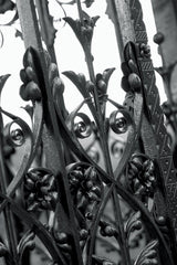 Stock Photos - Ornate detailed iron gate.