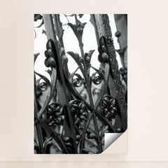 7082777018403 - Product Image