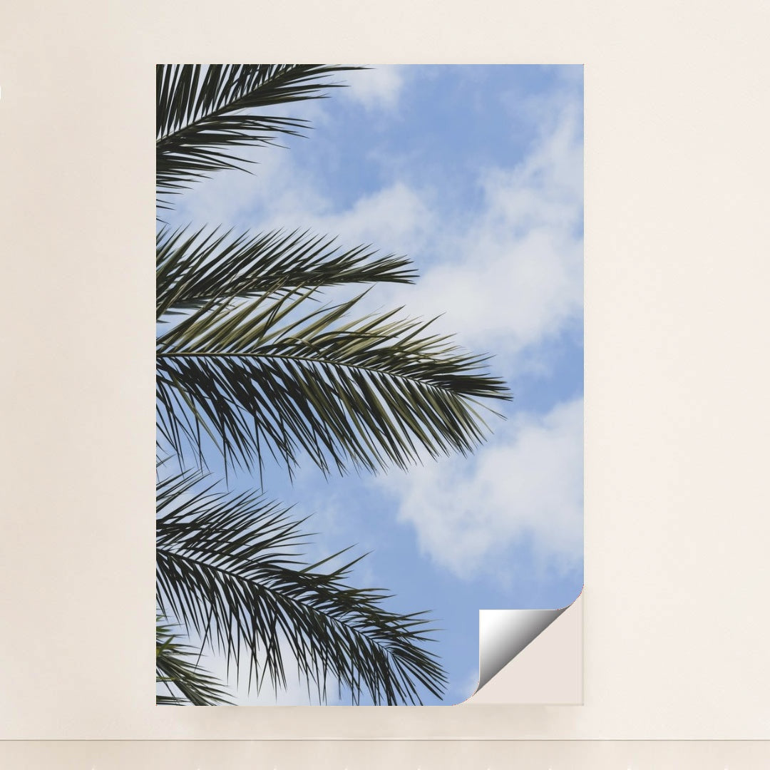 7090249400355 - Product Image