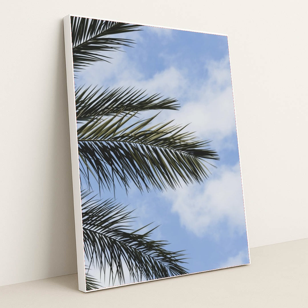 7090249400355 - Product Image