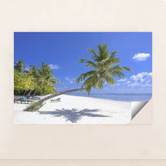 7090343116835 - Product Image