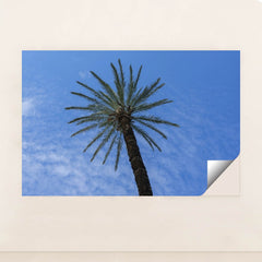 7090249302051 - Product Image