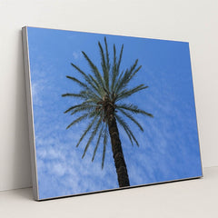 7090249302051 - Product Image