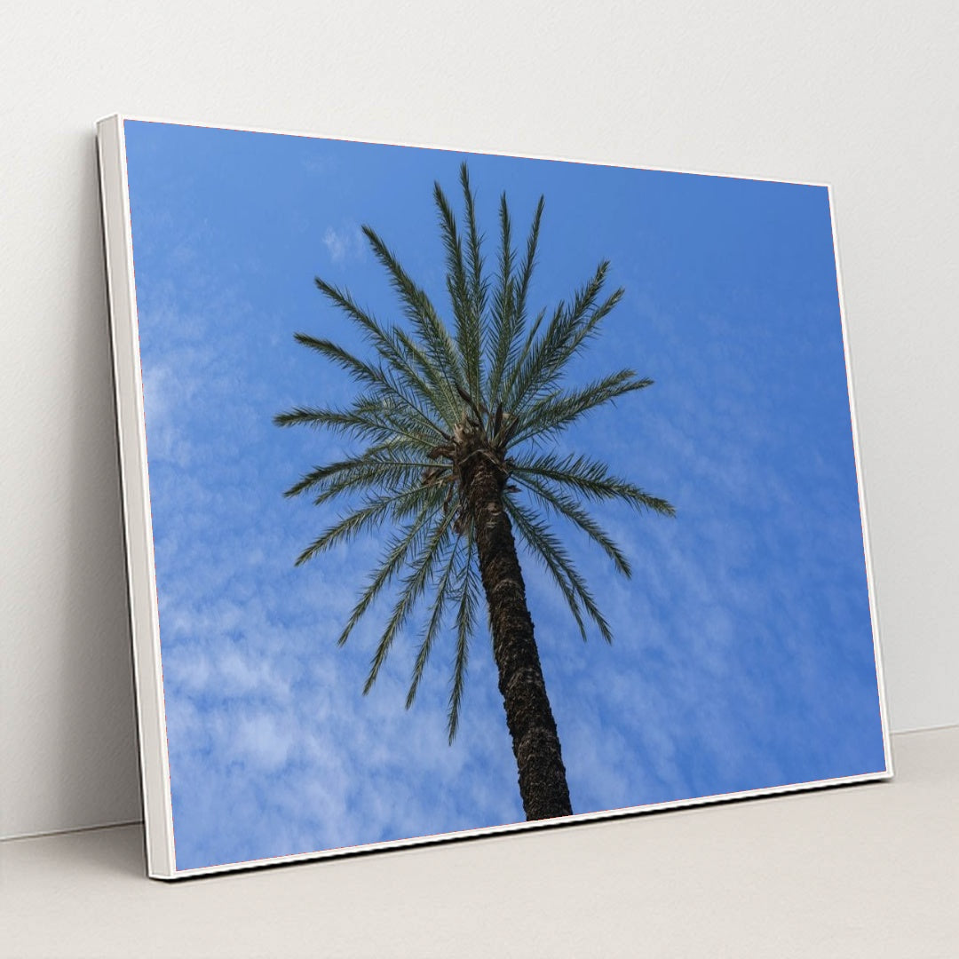 7090249302051 - Product Image