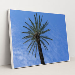 7090249302051 - Product Image