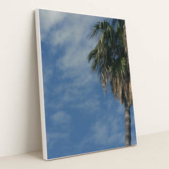 7090249596963 - Product Image